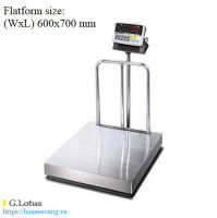 Cân bàn điện tử DBI/SPS 600x700-DBI/SPS 600x700 CAS 300kg