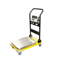 Cân xe đẩy CWP-SW-C CAS...