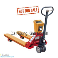 Cân Pallet Công Nghiệp CPS Series CAS