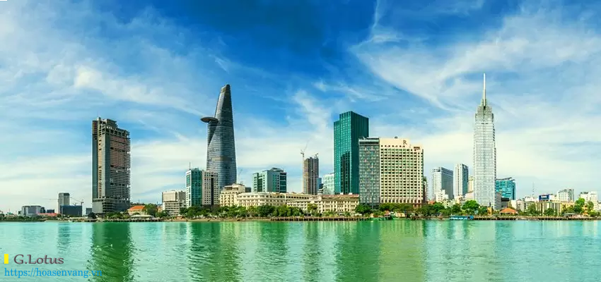Cân điện tử Hoa Sen Vàng