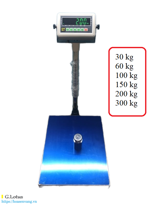 Cân bàn điện tử BS-ZD-8203 – Giải pháp cân công nghiệp tinh gọn