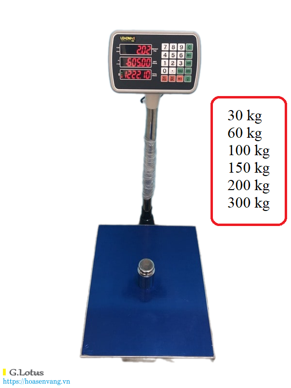 Cân bàn điện tử BS-ZD-8205 Loadmax 3 màn hình LED